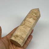 346.2g, 5.6"x1.6" Natural Chocolate Calcite Tower Point Obelisk Crystal, B23299