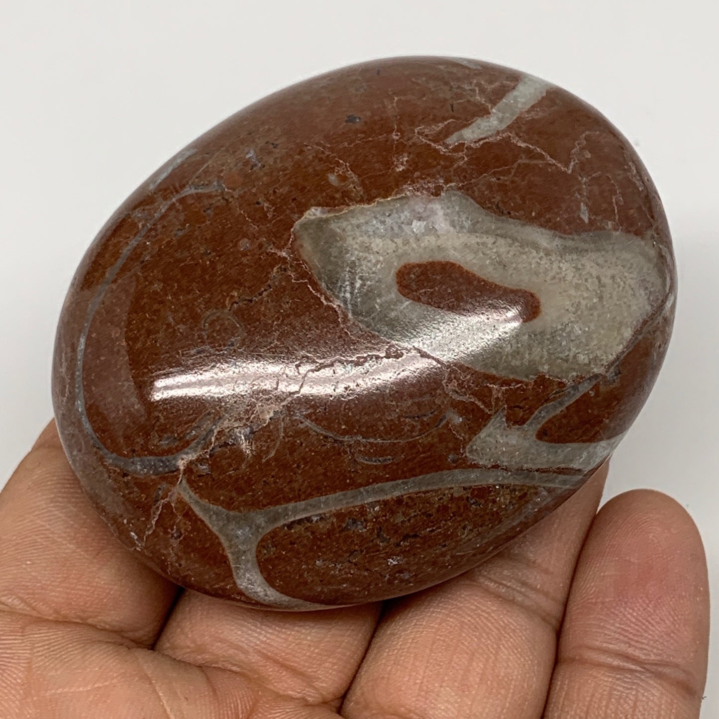 126.5g, 2.6"x2"x1.1", Natural Untreated Red Shell Fossils Oval Palms-tone, F1292