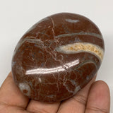139g, 2.6"x2.1"x1.1", Natural Untreated Red Shell Fossils Oval Palms-tone, F1293