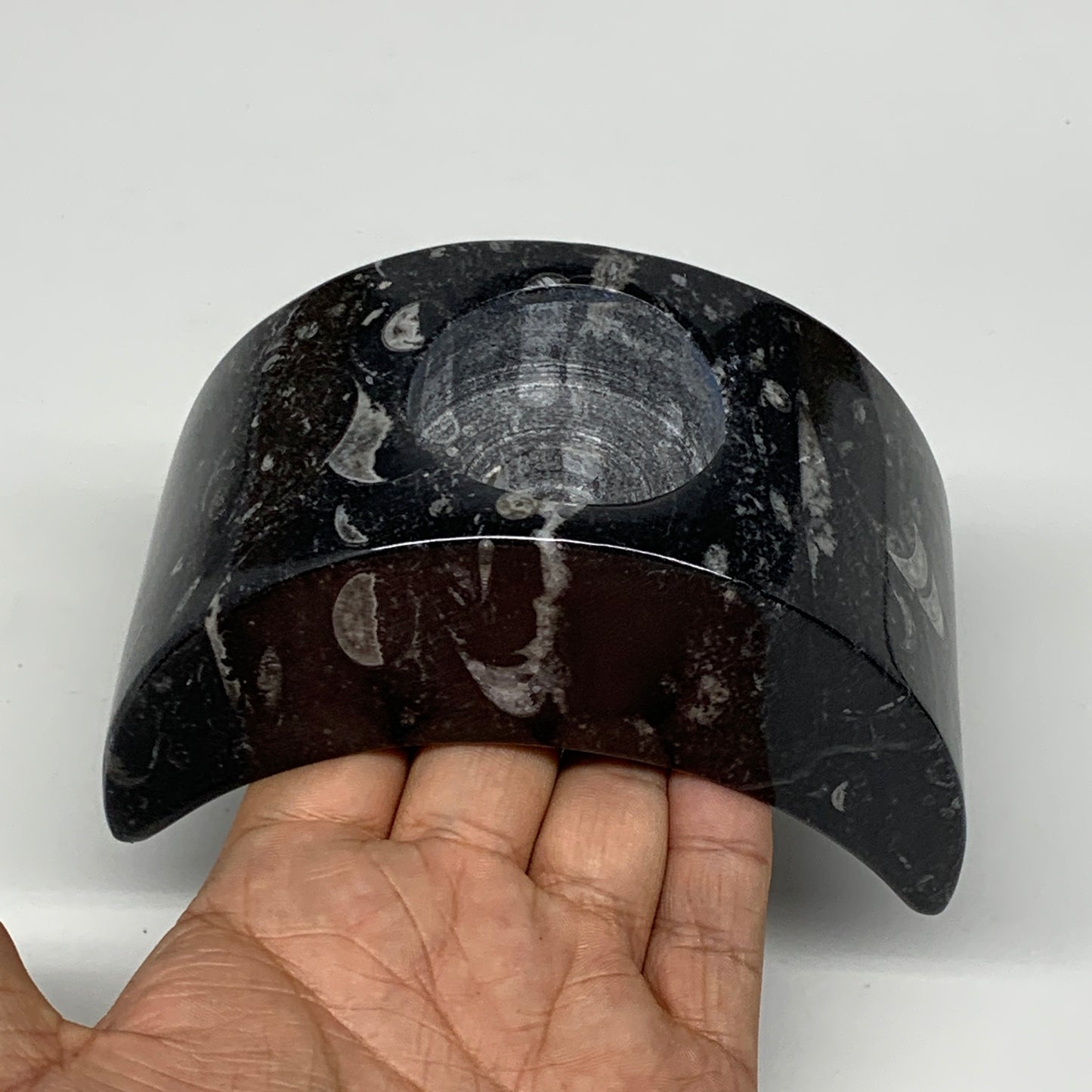 630g, 4.6" x 2.3" x 1.6" Moon Shape Fossils Orthoceras Candle Holder, B8692