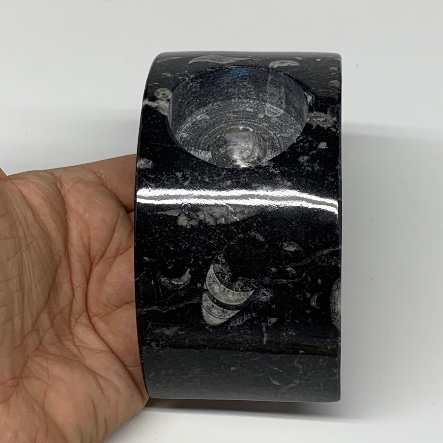 630g, 4.6" x 2.3" x 1.6" Moon Shape Fossils Orthoceras Candle Holder, B8692