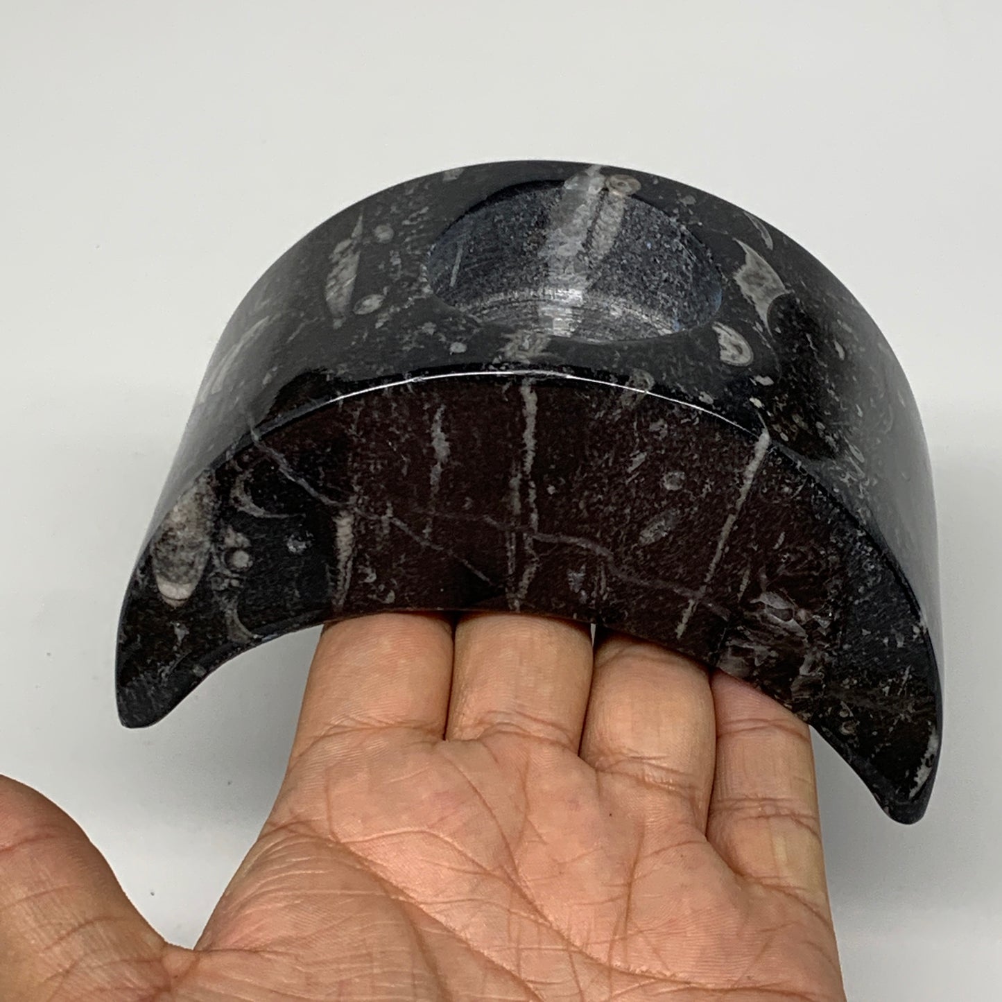 630g, 4.6" x 2.3" x 1.6" Moon Shape Fossils Orthoceras Candle Holder, B8692