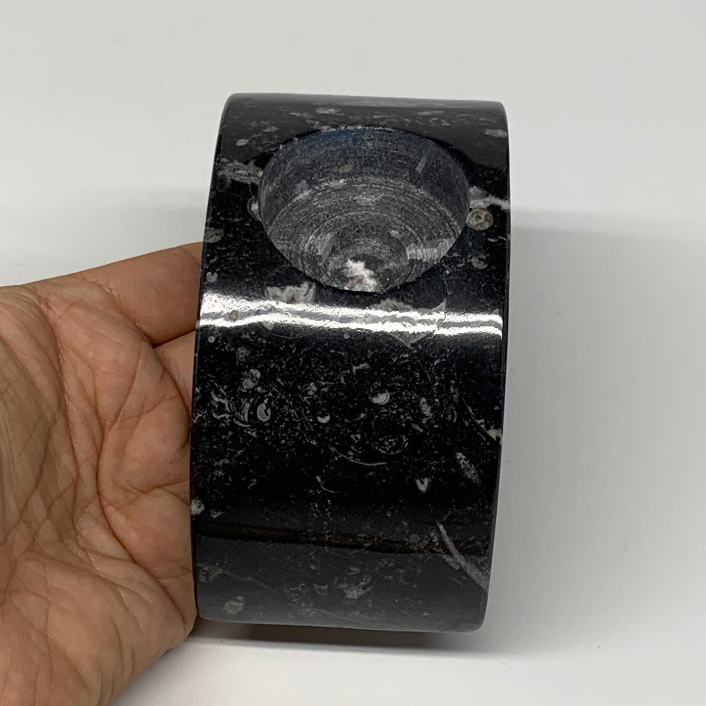 630g, 4.6" x 2.3" x 1.6" Moon Shape Fossils Orthoceras Candle Holder, B8692