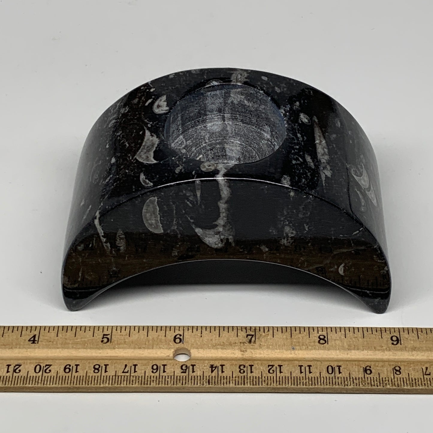 630g, 4.6" x 2.3" x 1.6" Moon Shape Fossils Orthoceras Candle Holder, B8692