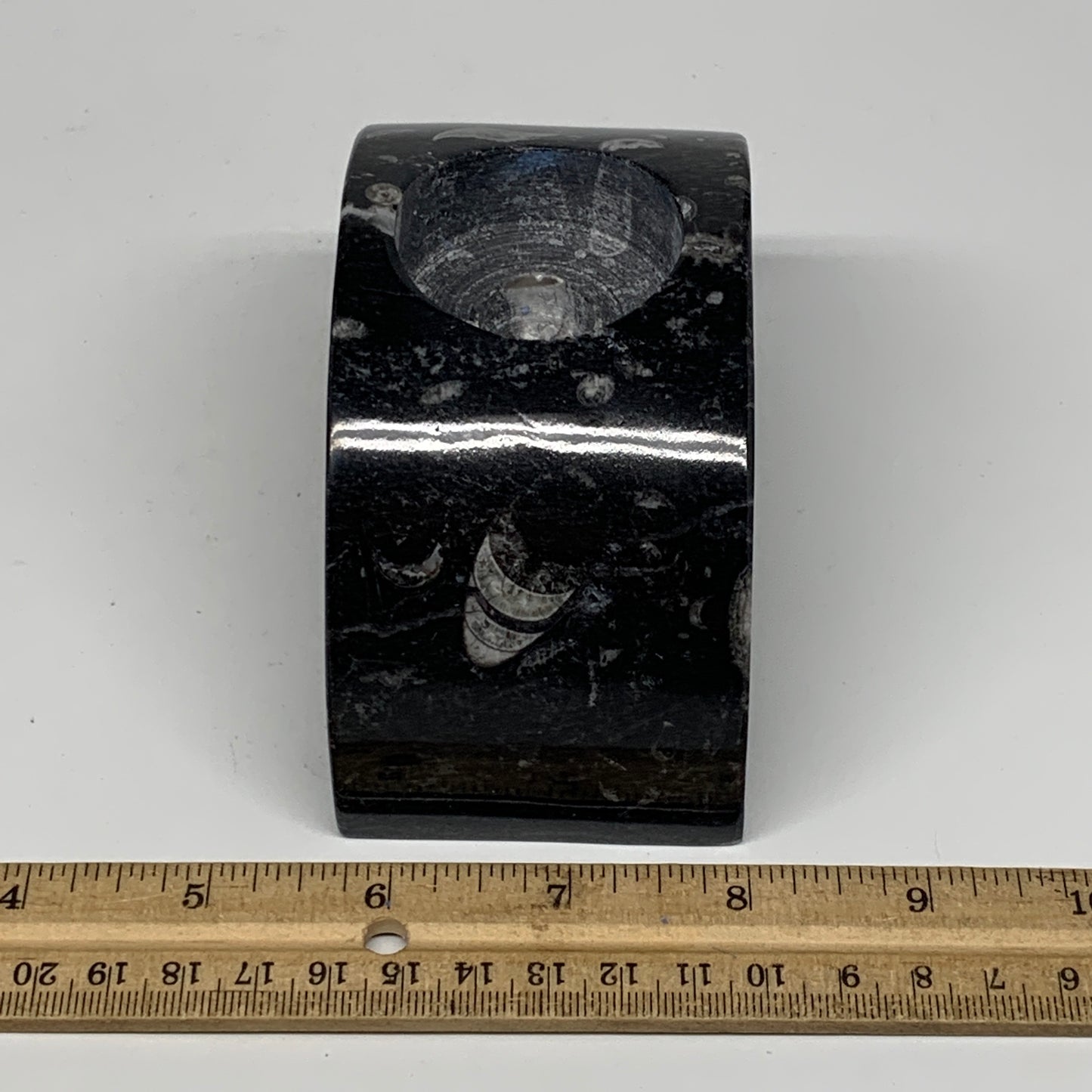 630g, 4.6" x 2.3" x 1.6" Moon Shape Fossils Orthoceras Candle Holder, B8692