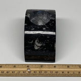 630g, 4.6" x 2.3" x 1.6" Moon Shape Fossils Orthoceras Candle Holder, B8692