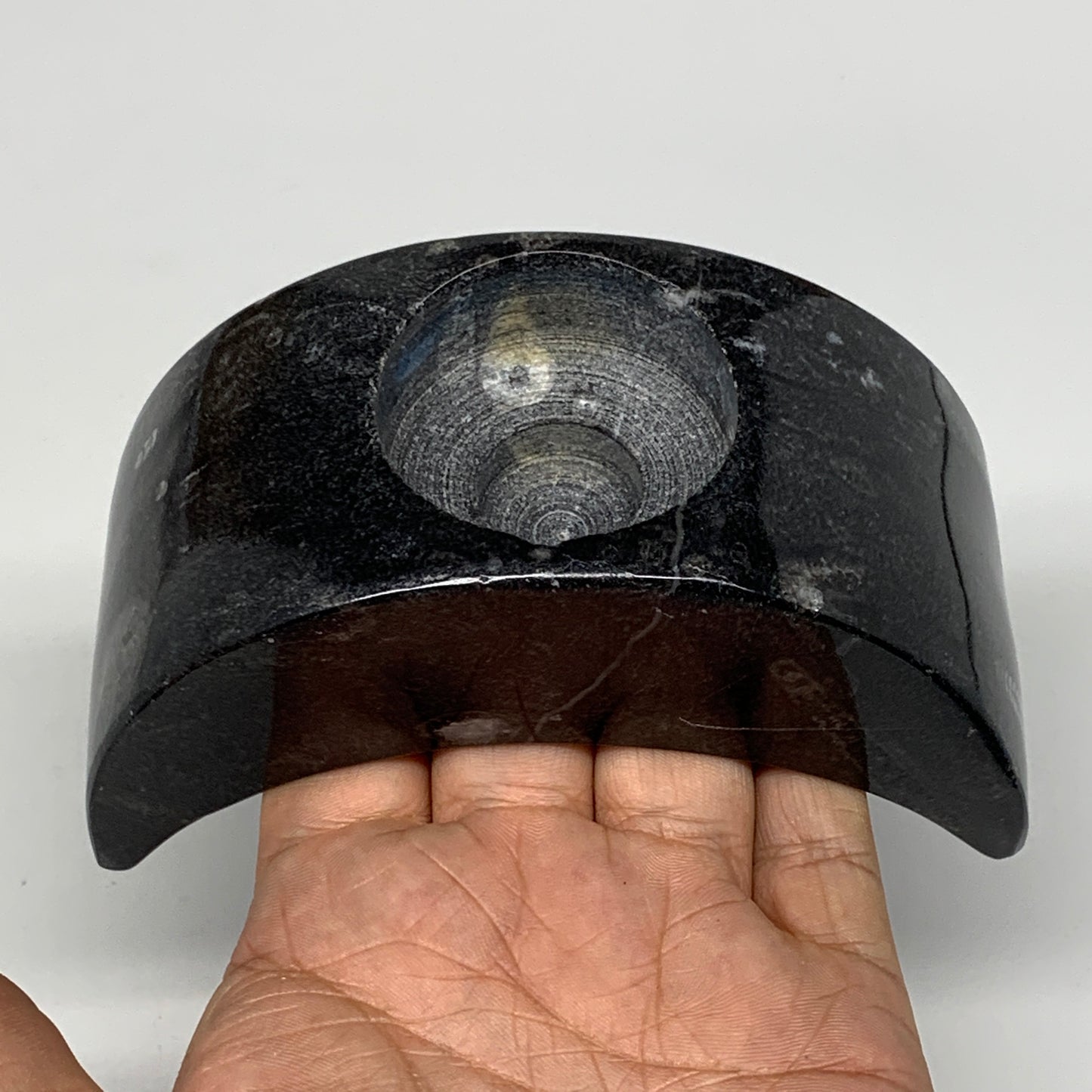 424g, 4.6" x 2" x 1.3" Moon Shape Fossils Orthoceras Candle Holder, B8694