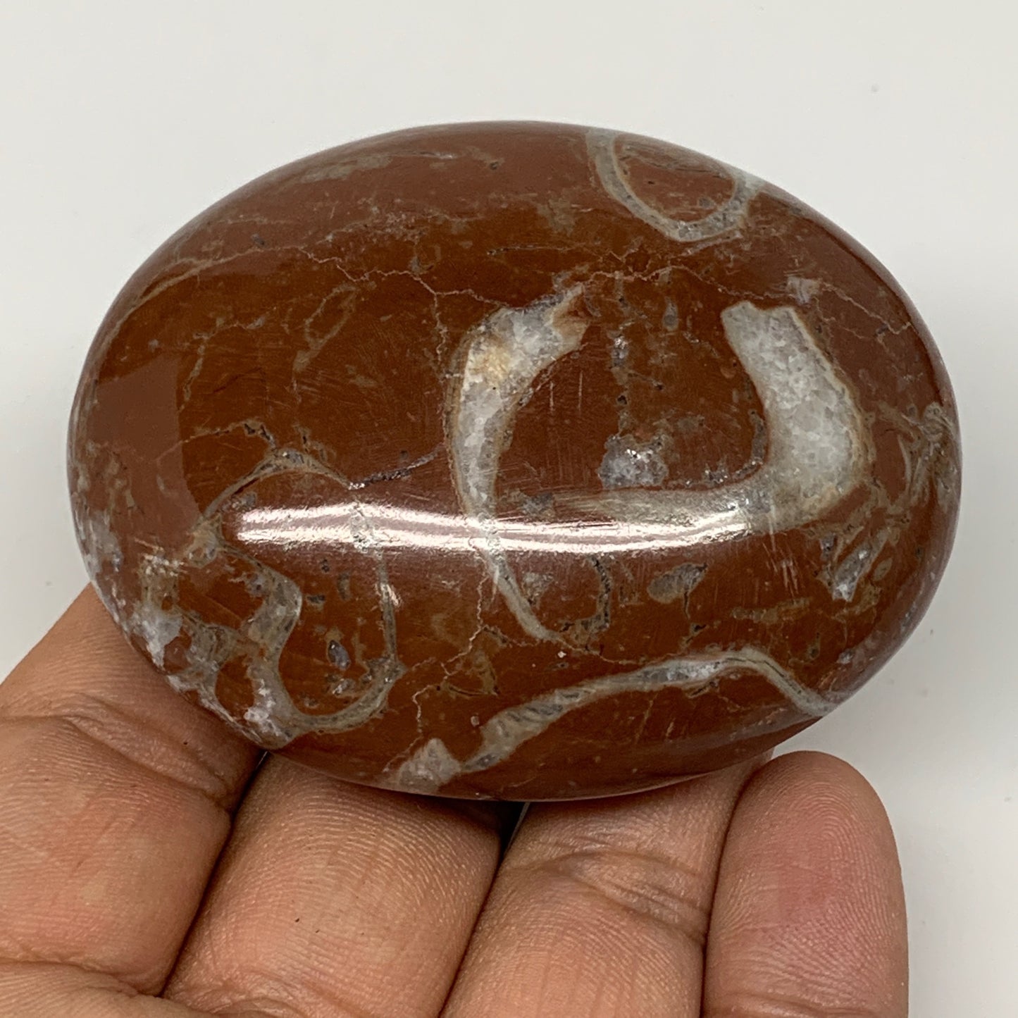 131.8g, 2.6"x2"x1.1", Natural Untreated Red Shell Fossils Oval Palms-tone, F1298