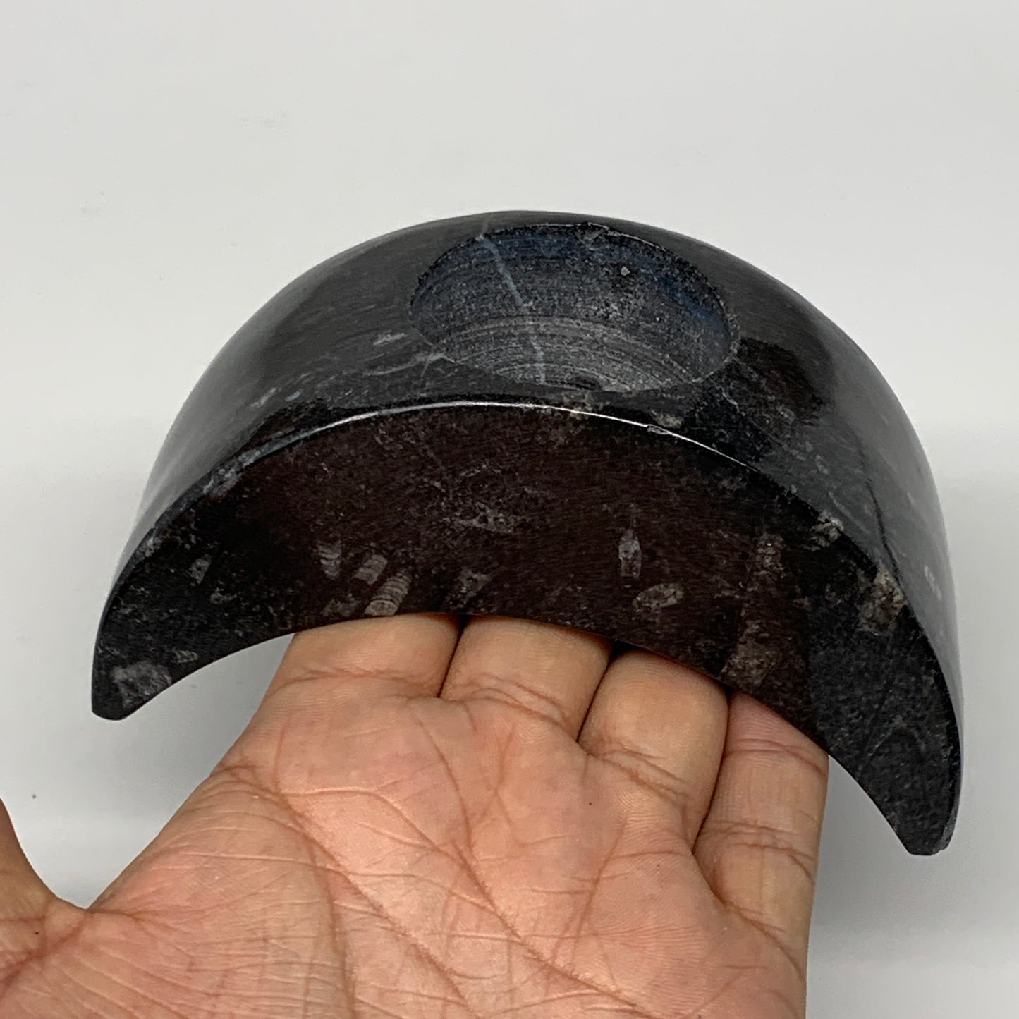 424g, 4.6" x 2" x 1.3" Moon Shape Fossils Orthoceras Candle Holder, B8694