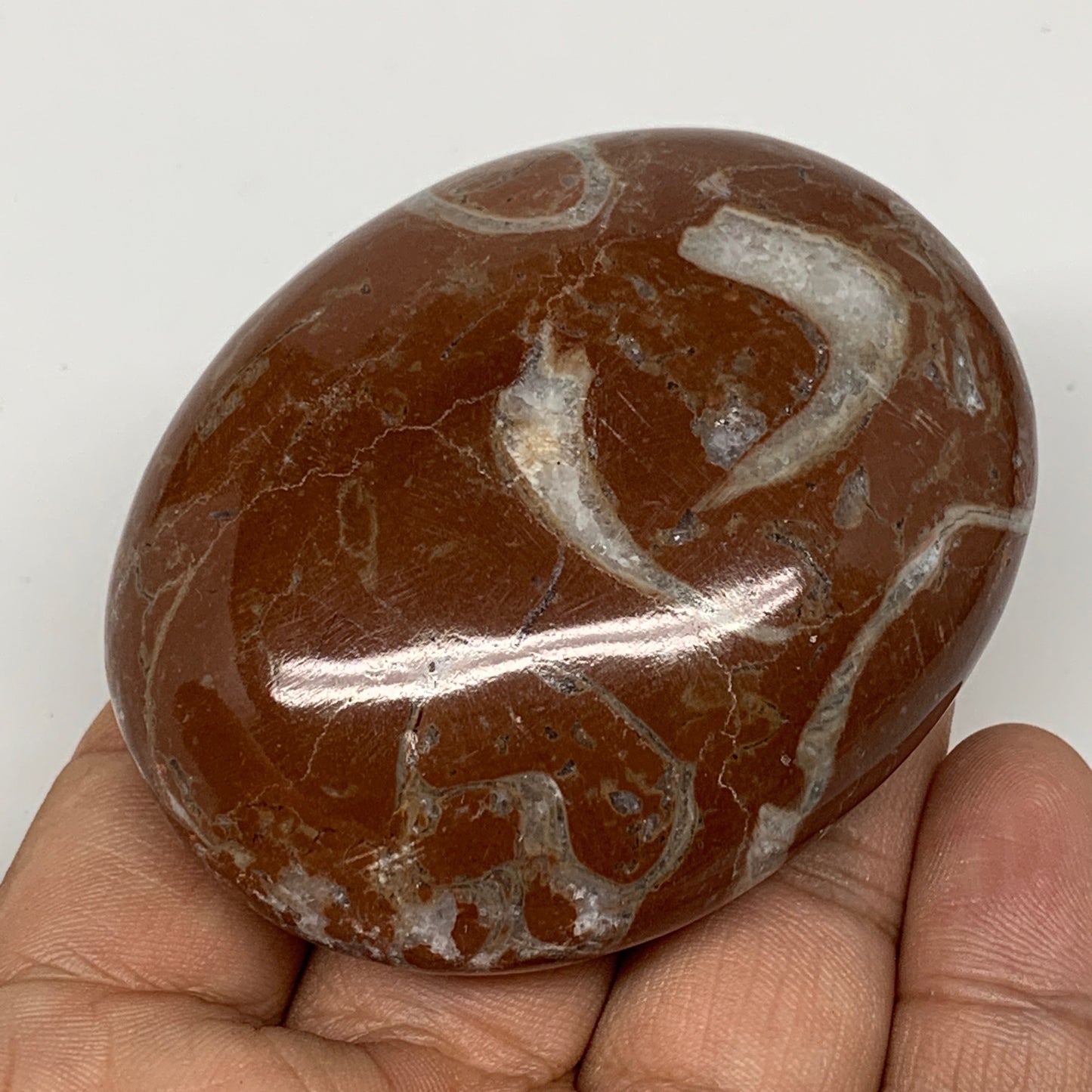 131.8g, 2.6"x2"x1.1", Natural Untreated Red Shell Fossils Oval Palms-tone, F1298