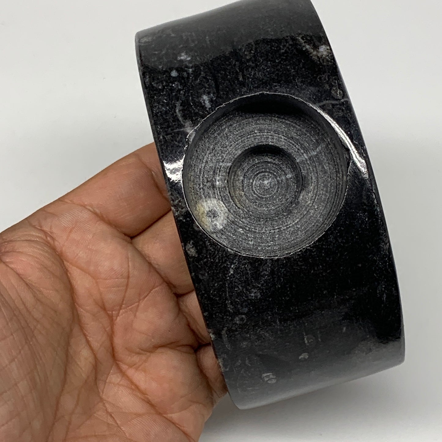 424g, 4.6" x 2" x 1.3" Moon Shape Fossils Orthoceras Candle Holder, B8694