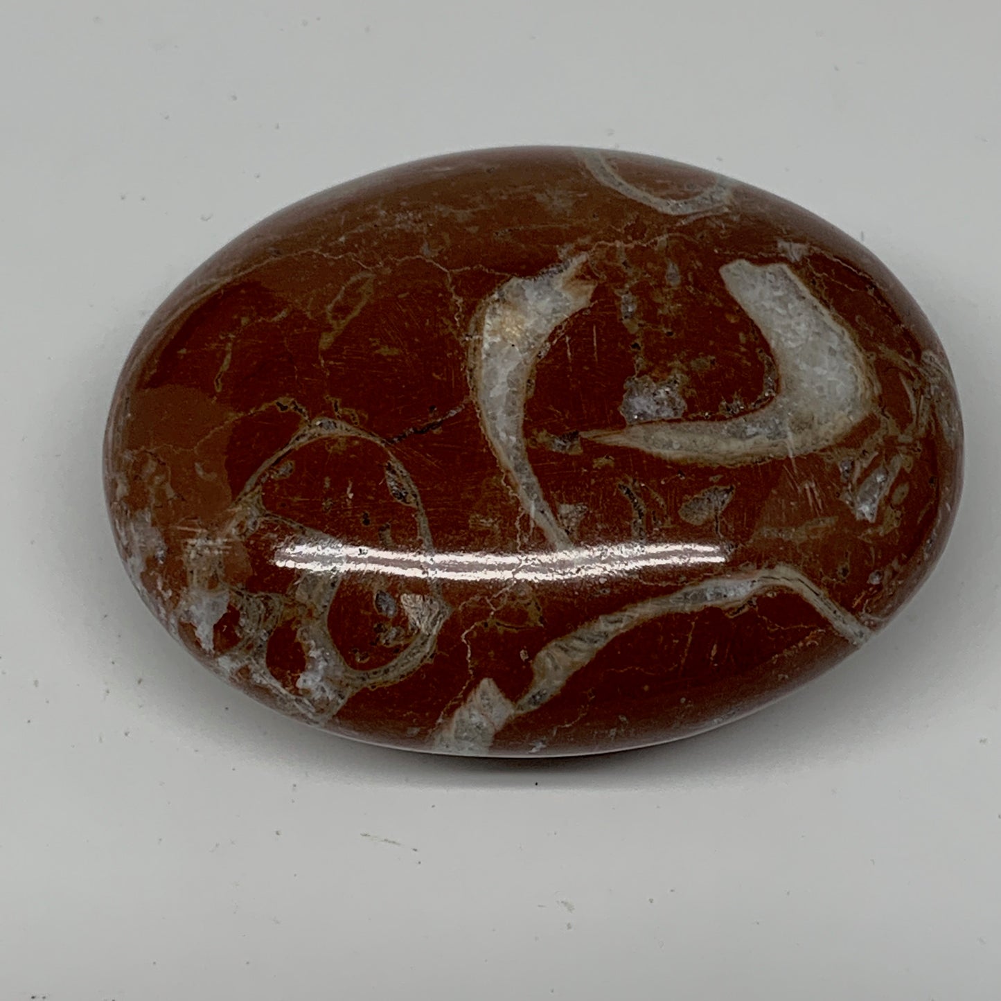 131.8g, 2.6"x2"x1.1", Natural Untreated Red Shell Fossils Oval Palms-tone, F1298