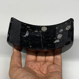 424g, 4.6" x 2" x 1.3" Moon Shape Fossils Orthoceras Candle Holder, B8694
