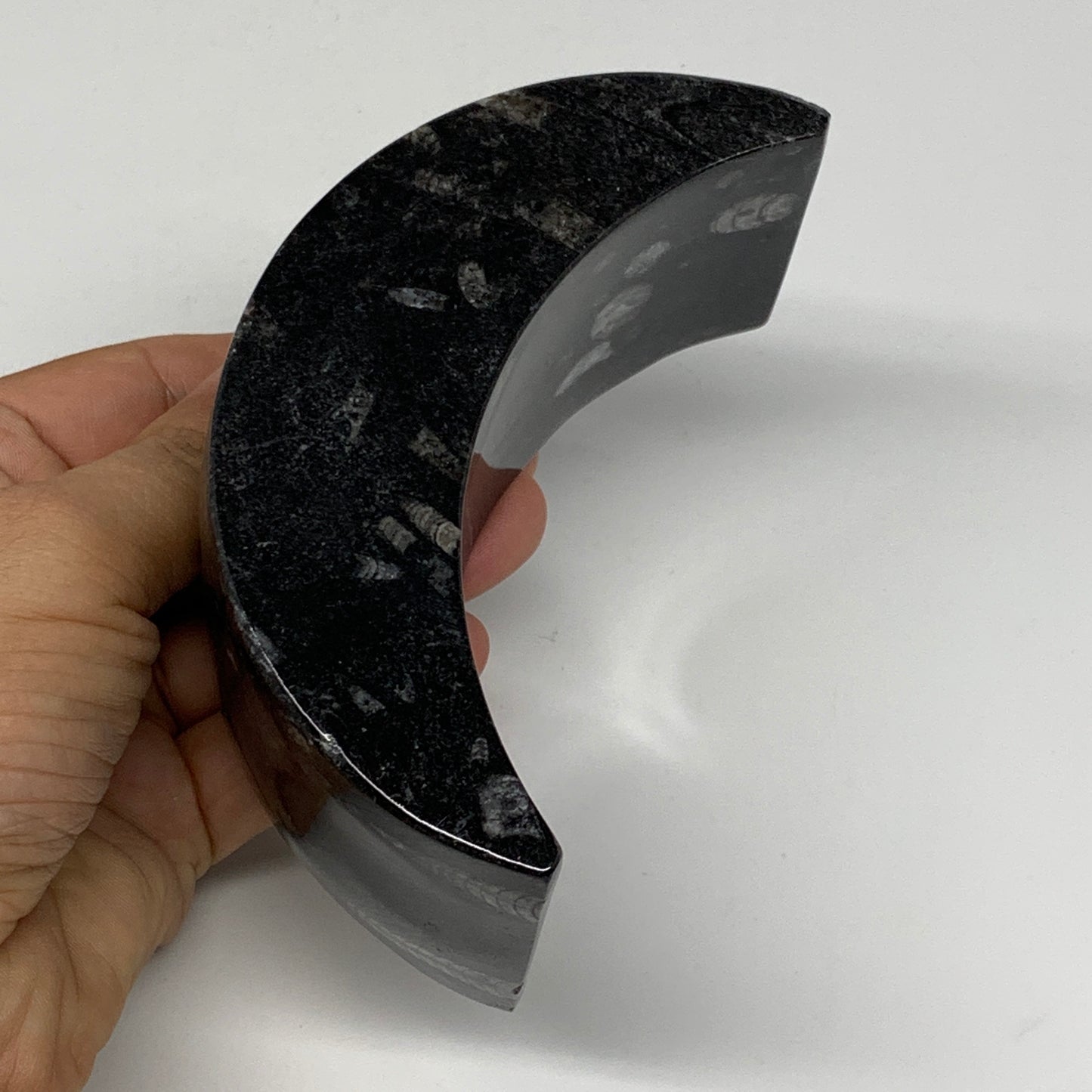 424g, 4.6" x 2" x 1.3" Moon Shape Fossils Orthoceras Candle Holder, B8694