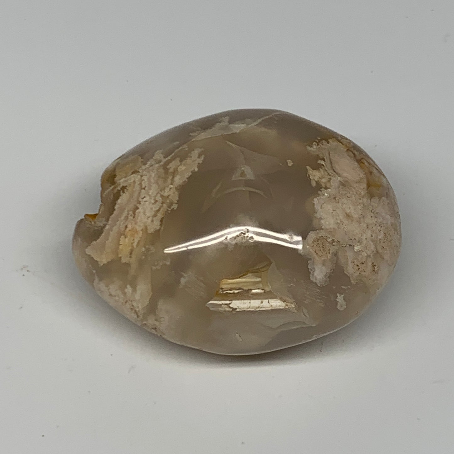 185.1g,2.7"x2.3"x1.5", Flower Agate Palm-Stone Crystal Reiki @Madagascar,B16122