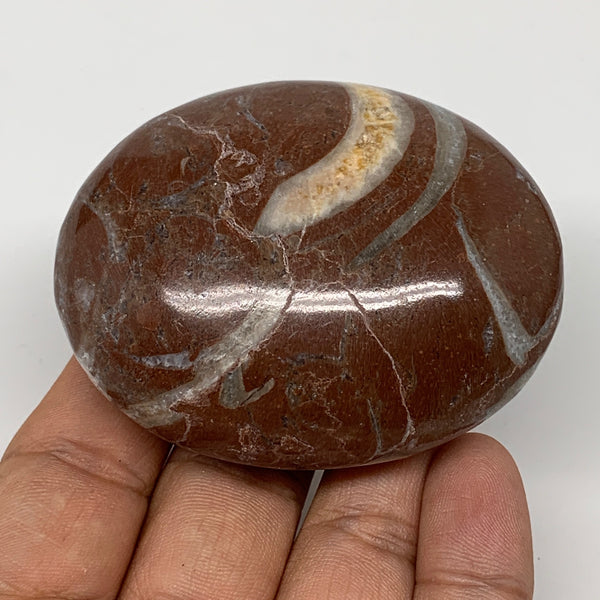 133.3g, 2.6"x2.1"x1.1", Natural Untreated Red Shell Fossils Oval Palms-tone, F13