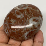 128.5g, 2.5"x2.1"x1.1", Natural Untreated Red Shell Fossils Oval Palms-tone, F13