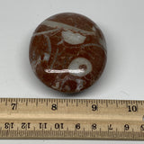 128.5g, 2.5"x2.1"x1.1", Natural Untreated Red Shell Fossils Oval Palms-tone, F13