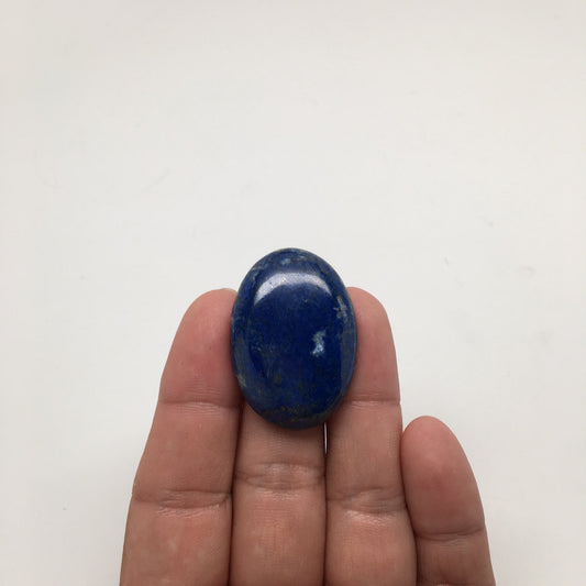 14.2Grams Natural Oval Shape Lapis Lazuli Cabochon Flat Bottom @Afghanistan,C303
