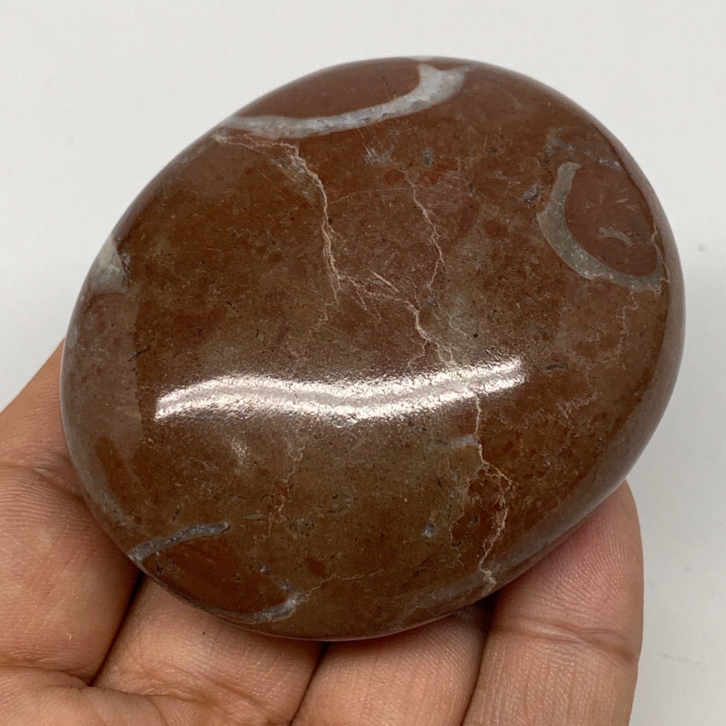 137.4g, 2.6"x2.1"x1.1", Natural Untreated Red Shell Fossils Oval Palms-tone, F13