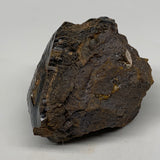 676g, 3.2"x2.5"x2.7" Rough Hematite Botryoidal Mineral Crystal @Morocco, B9532
