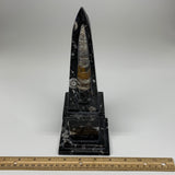 1398g, 9.75" x 3.6" Black Fossils Orthoceras Tower Marble @Morocco, B8699