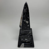 1320g, 9.75" x 3.6" Black Fossils Orthoceras Tower Marble @Morocco, B8703