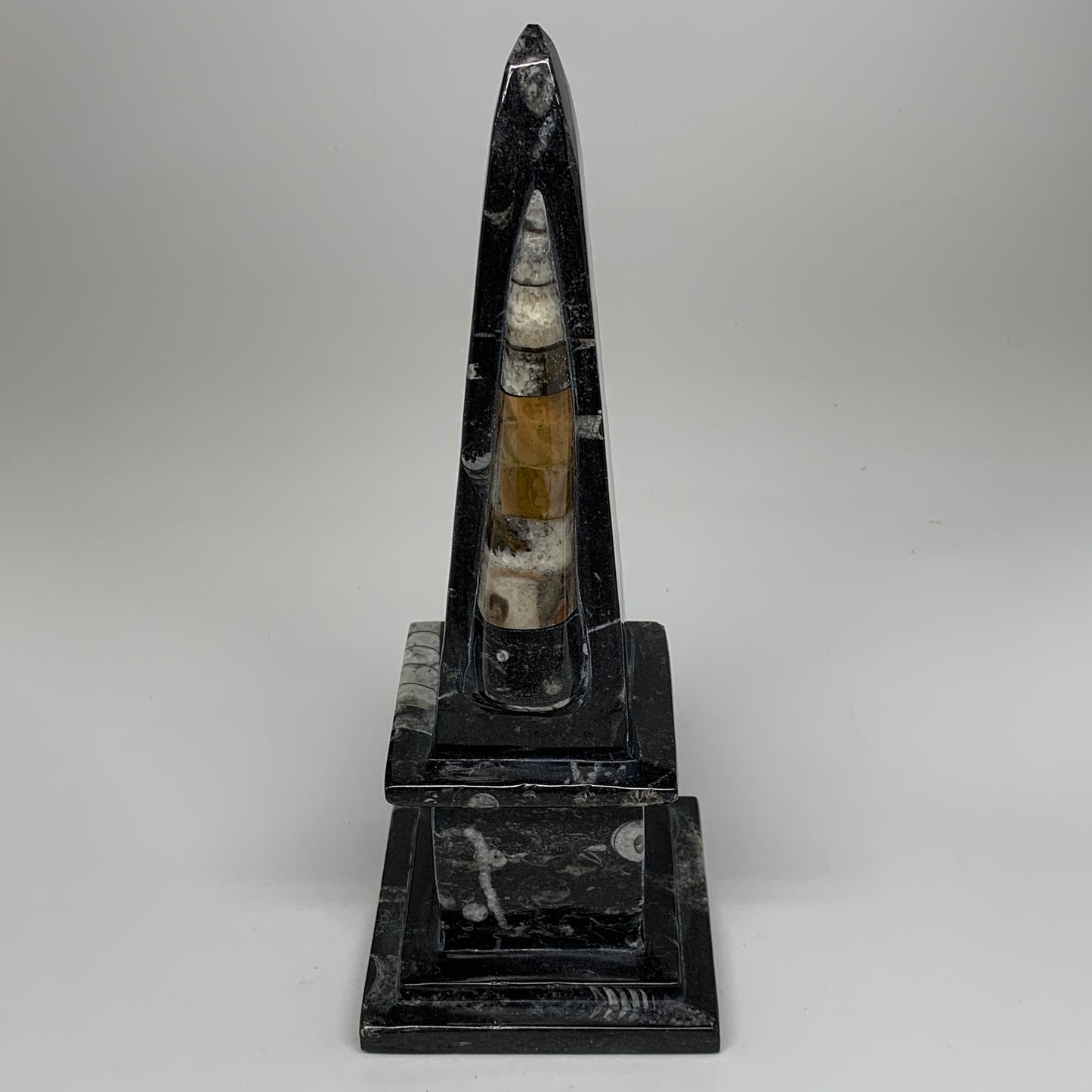 9.75" x 3.6" Black Fossils Orthoceras Tower Marble @Morocco, B8704