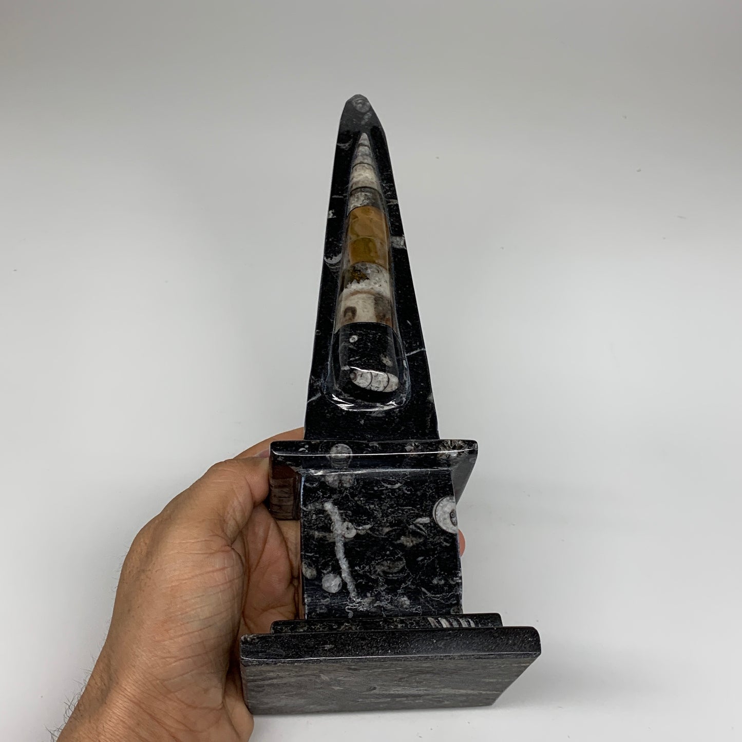 9.75" x 3.6" Black Fossils Orthoceras Tower Marble @Morocco, B8704