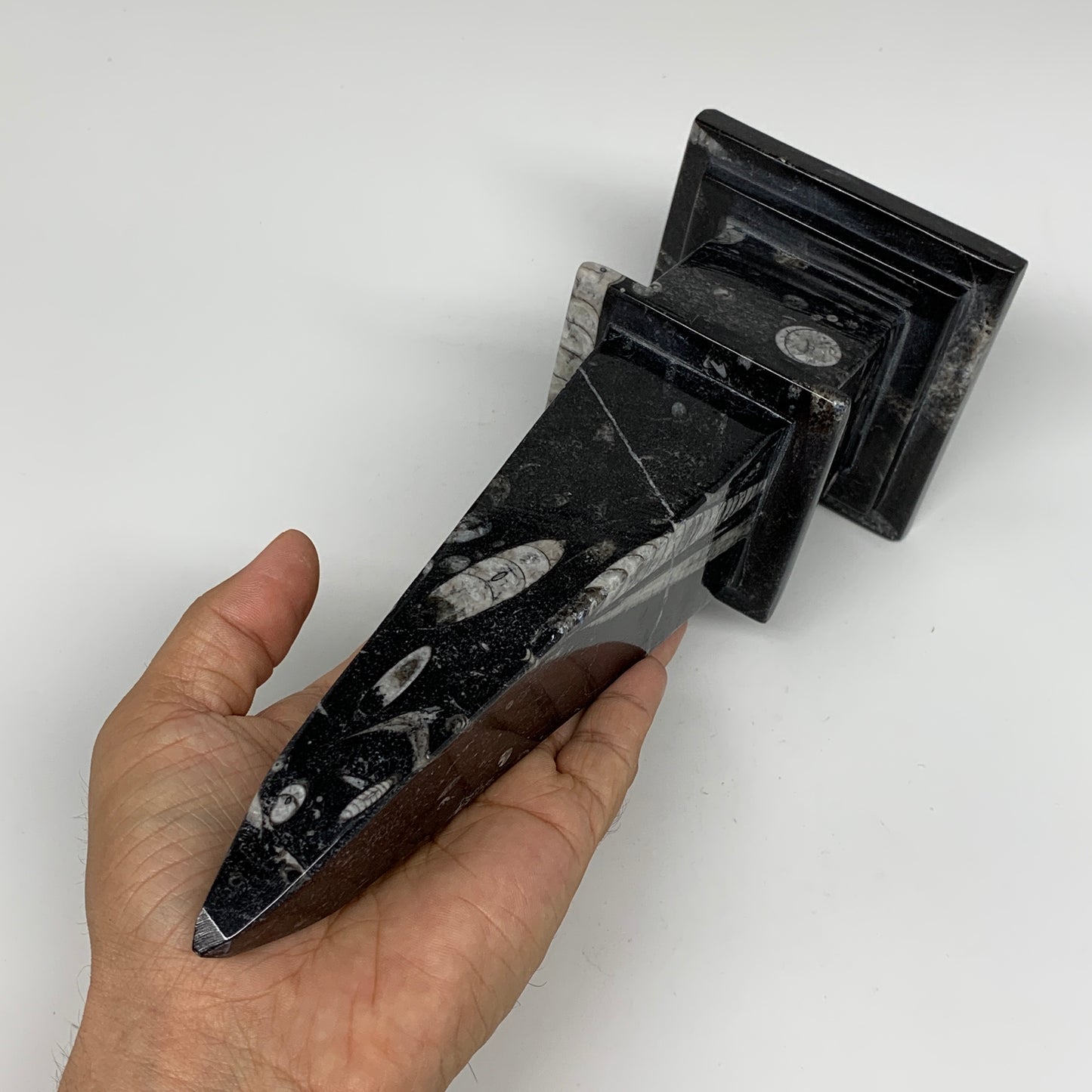 9.75" x 3.6" Black Fossils Orthoceras Tower Marble @Morocco, B8704