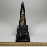 9.75" x 3.6" Black Fossils Orthoceras Tower Marble @Morocco, B8704