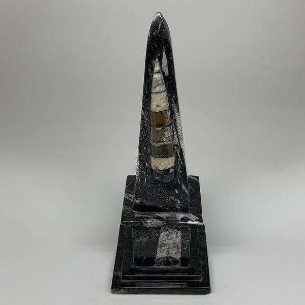 1294g, 9.75" x 3.6" Black Fossils Orthoceras Tower Marble @Morocco, B8706