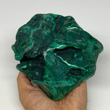 1450g,5.7"x5.3"x2" Natural Malachite Freeform Polished @Congo, B18461