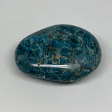 105.8g,2.4"x1.8"x1" Blue Apatite Palm-Stone Polished Reiki @Madagascar, B12064