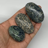163.2g, 1.7"-2.3", 3pcs, Kambaba Jasper Palm-Stone Reiki @Madagascar,B10416