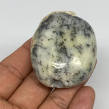 60.5g, 2.1"x1.7"x0.9" Dendrite Fern Agate Palm-Stone Reiki Energy Crystal Reiki,
