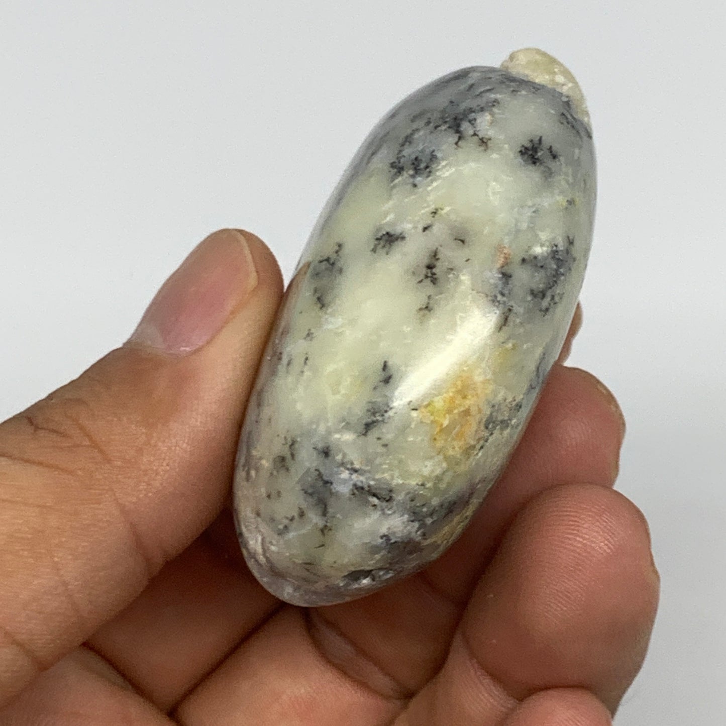 60.5g, 2.1"x1.7"x0.9" Dendrite Fern Agate Palm-Stone Reiki Energy Crystal Reiki,
