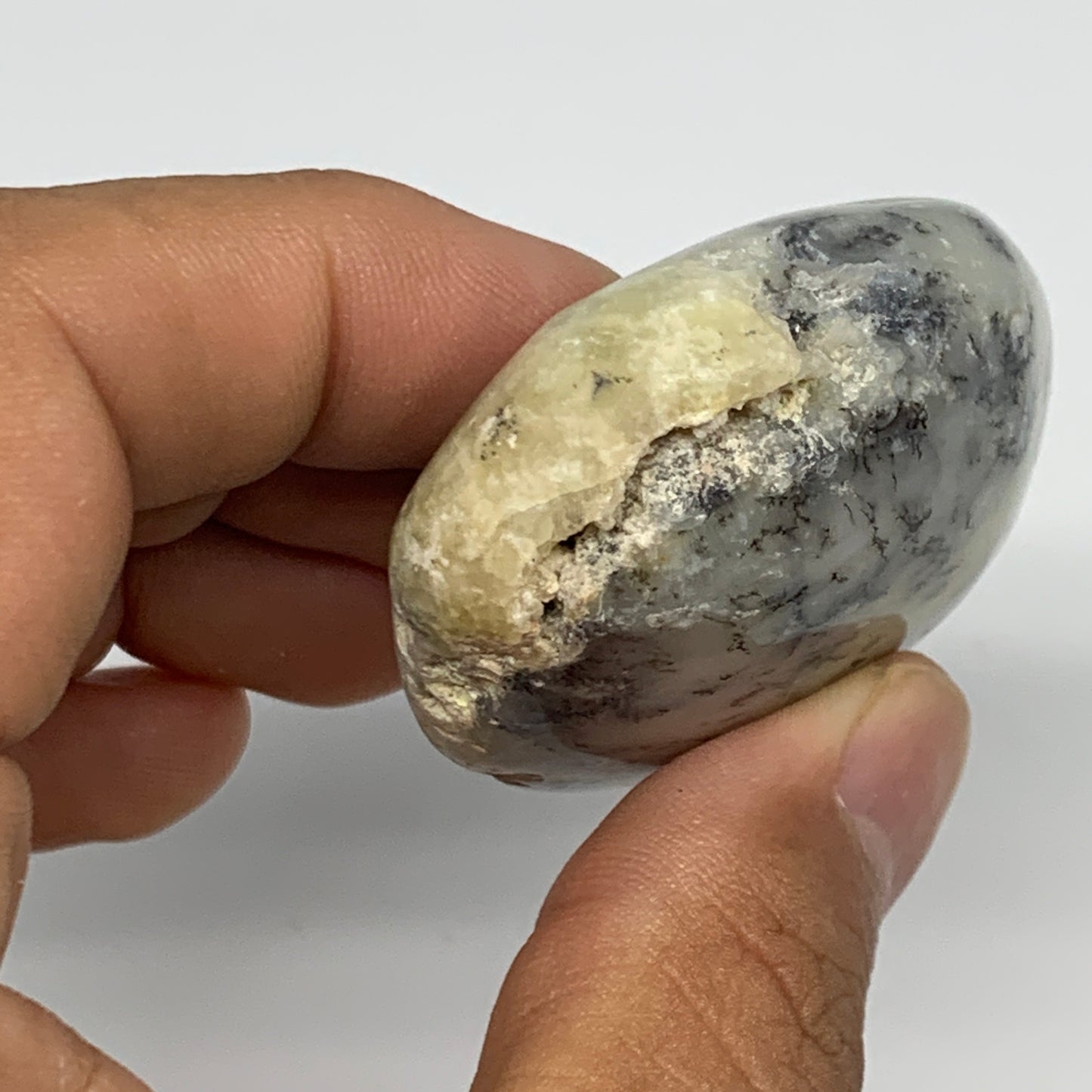 60.5g, 2.1"x1.7"x0.9" Dendrite Fern Agate Palm-Stone Reiki Energy Crystal Reiki,