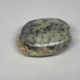 60.5g, 2.1"x1.7"x0.9" Dendrite Fern Agate Palm-Stone Reiki Energy Crystal Reiki,