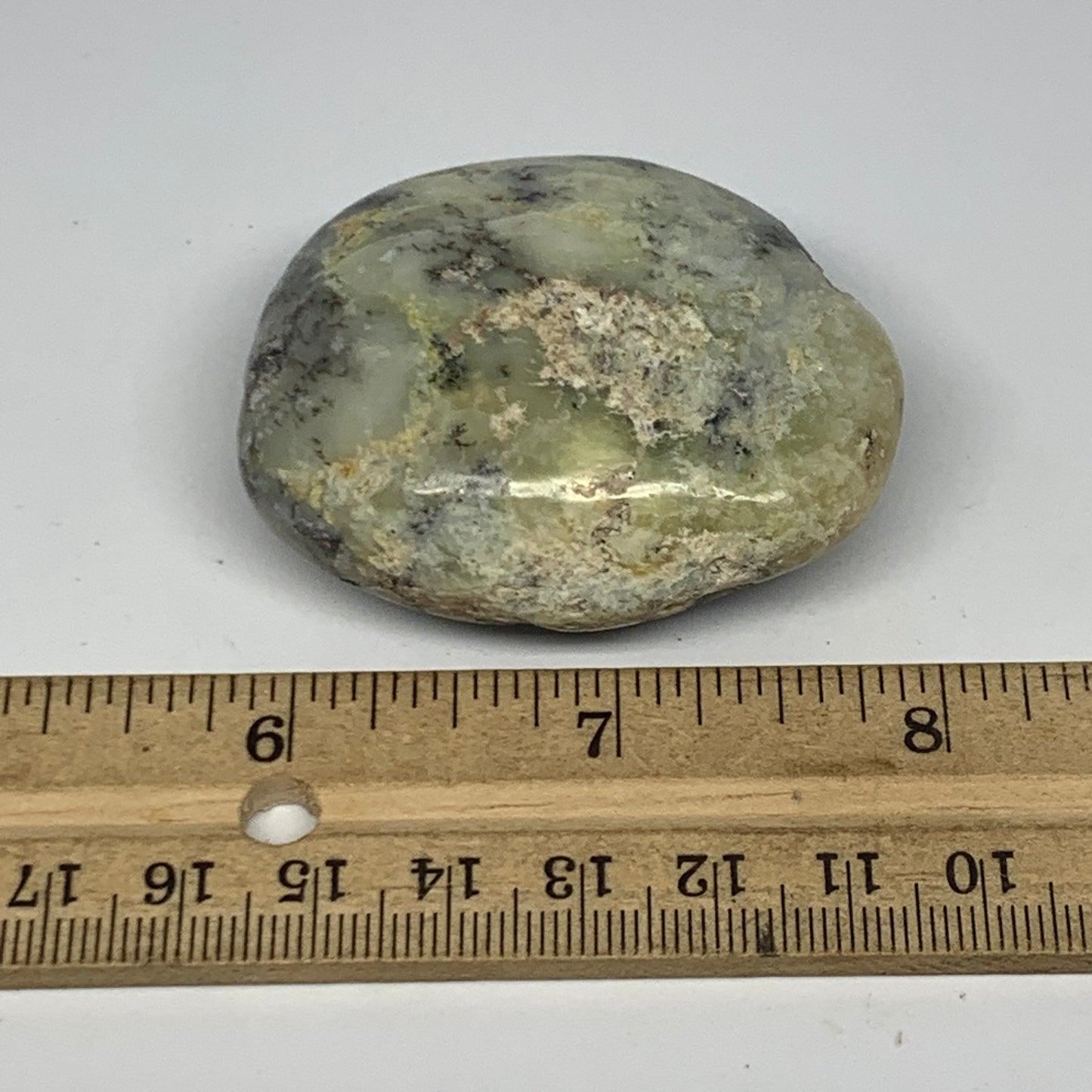 60.5g, 2.1"x1.7"x0.9" Dendrite Fern Agate Palm-Stone Reiki Energy Crystal Reiki,