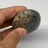 112.3g, 2.7"x1.8"x0.9", Kambaba Jasper Palm-Stone Reiki @Madagascar,B10420