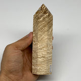 363.6g, 5.5"x1.5" Natural Chocolate Calcite Tower Point Obelisk Crystal, B23330