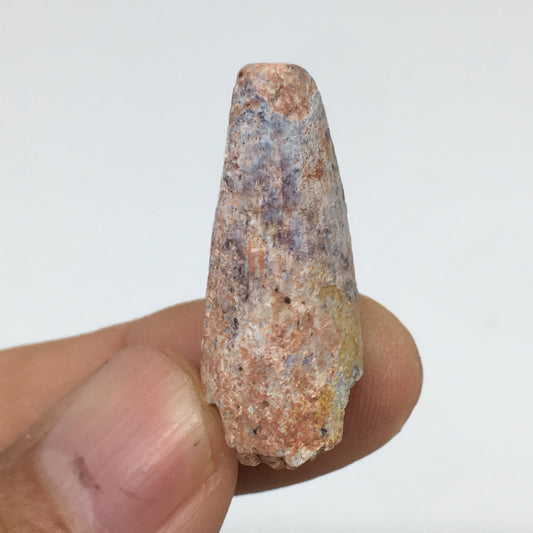 4.1g,1.2"X 0.5"x 0.5" Rare Natural Small Fossils Spinosaurus Tooth @Morocco,F202