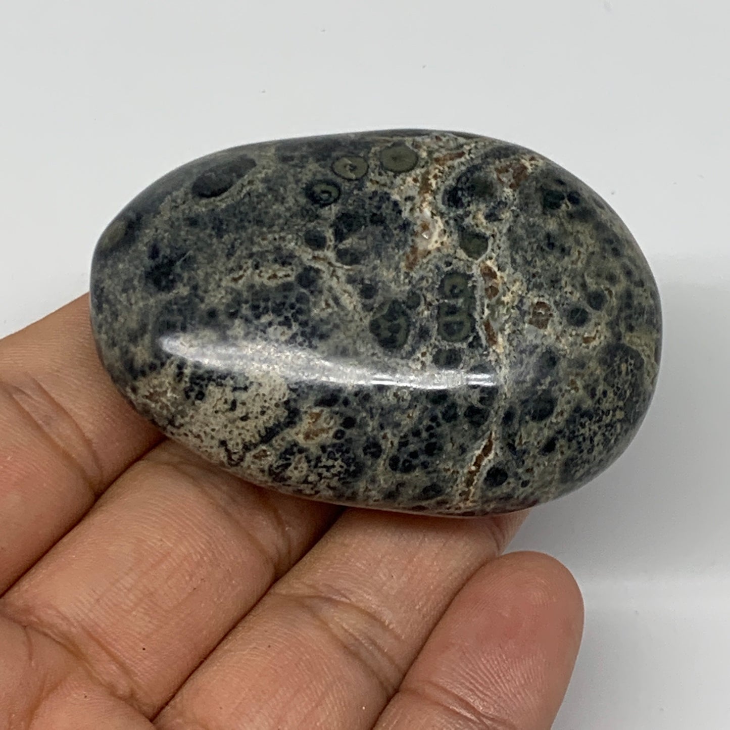 80.6g, 2.2"x1.6"x0.9", Kambaba Jasper Palm-Stone Reiki @Madagascar,B10424