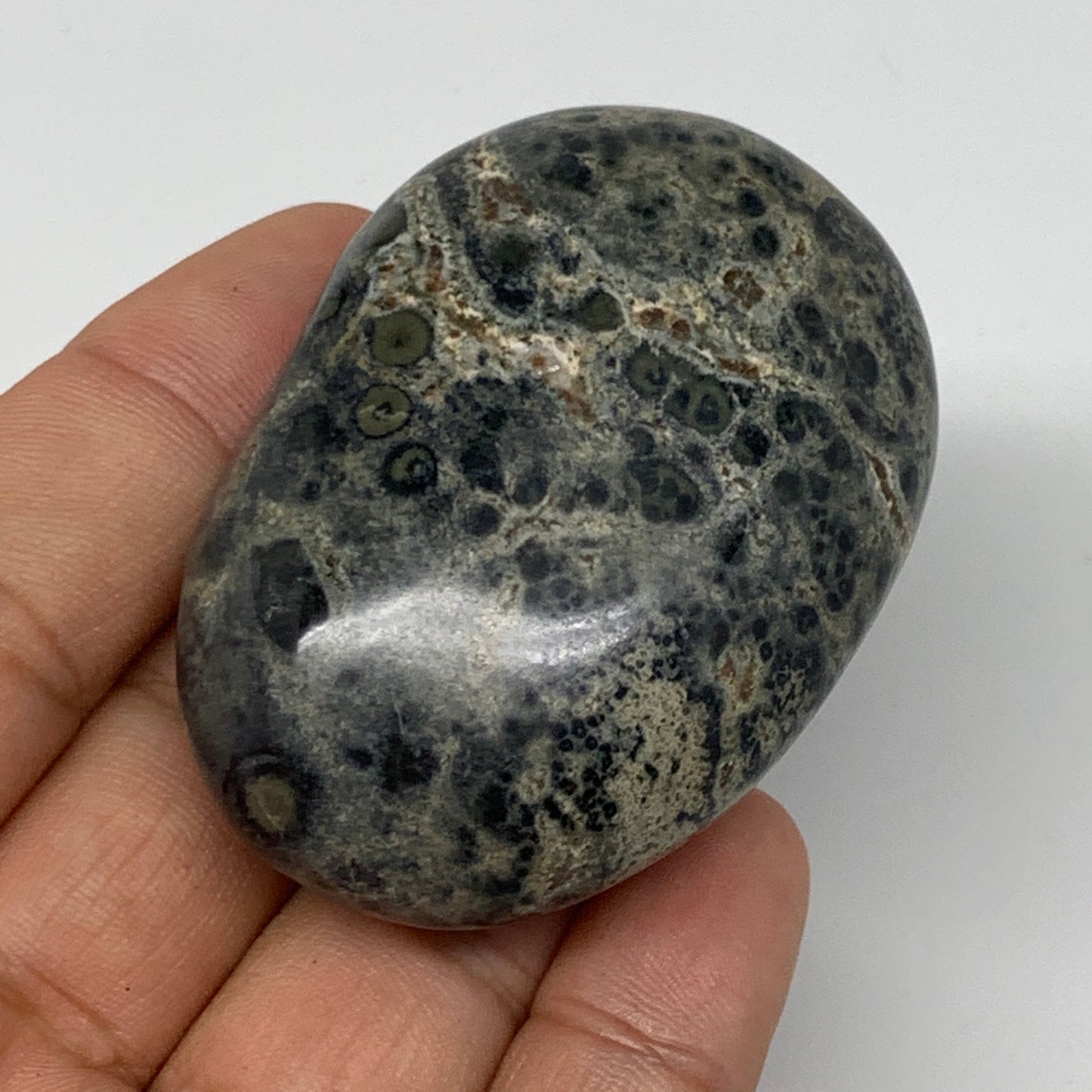 80.6g, 2.2"x1.6"x0.9", Kambaba Jasper Palm-Stone Reiki @Madagascar,B10424