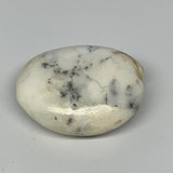 102.6g, 2.6"x2.1"x1" Dendrite Fern Agate Palm-Stone Reiki Energy Crystal Reiki,