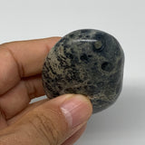 80.6g, 2.2"x1.6"x0.9", Kambaba Jasper Palm-Stone Reiki @Madagascar,B10424