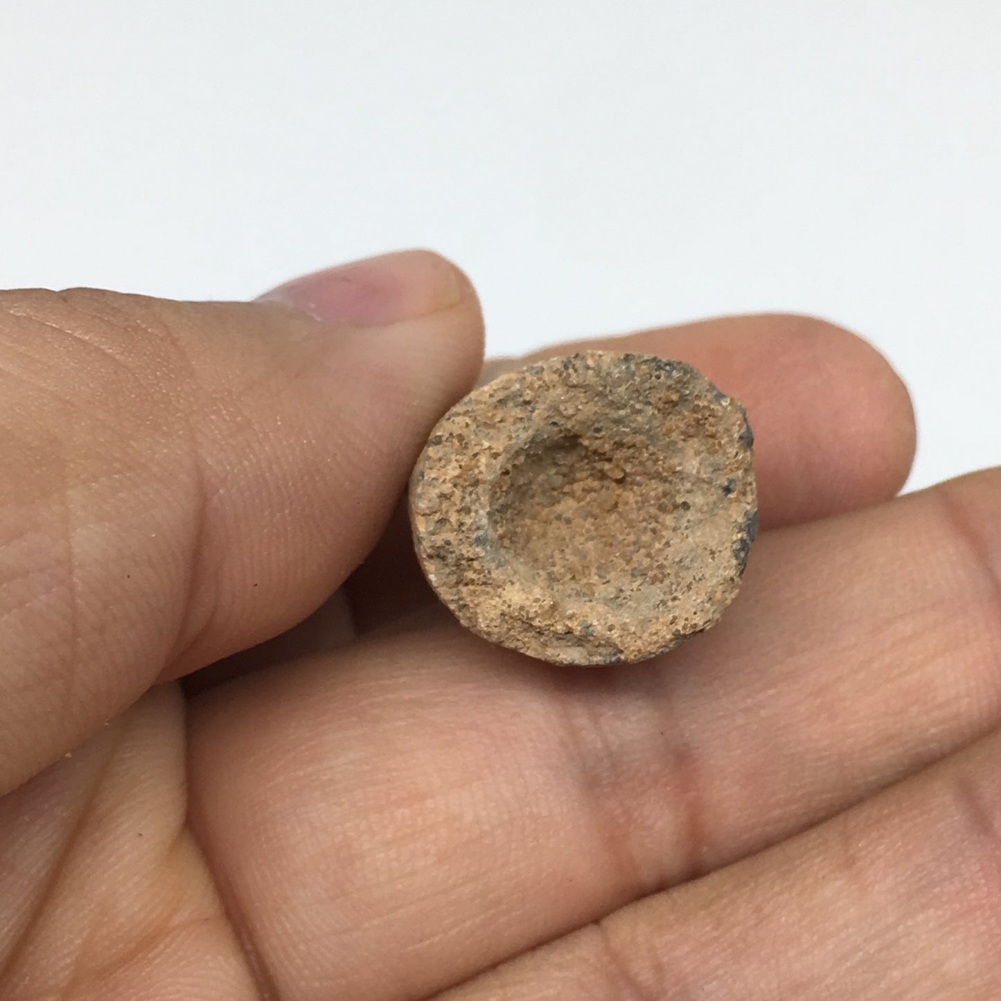 6.6g,1.2"X 0.7"x 0.6" Rare Natural Small Fossils Spinosaurus Tooth @Morocco,F206