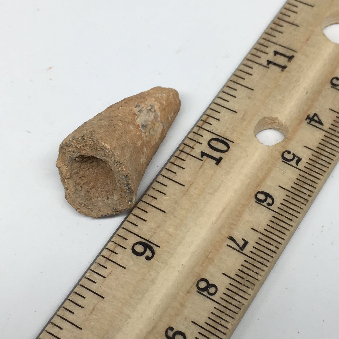 6.6g,1.2"X 0.7"x 0.6" Rare Natural Small Fossils Spinosaurus Tooth @Morocco,F206