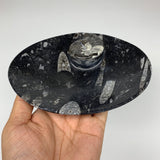 4pcs,6"x4.7"x4mm Small Oval Black Fossils Orthoceras Ammonite Bowls Dishes,F356